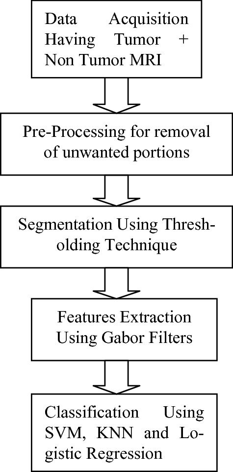 Different Approaches of Classification of Brain Tumor in MRI Using Gabor  Filters for Feature Extraction | SpringerLink