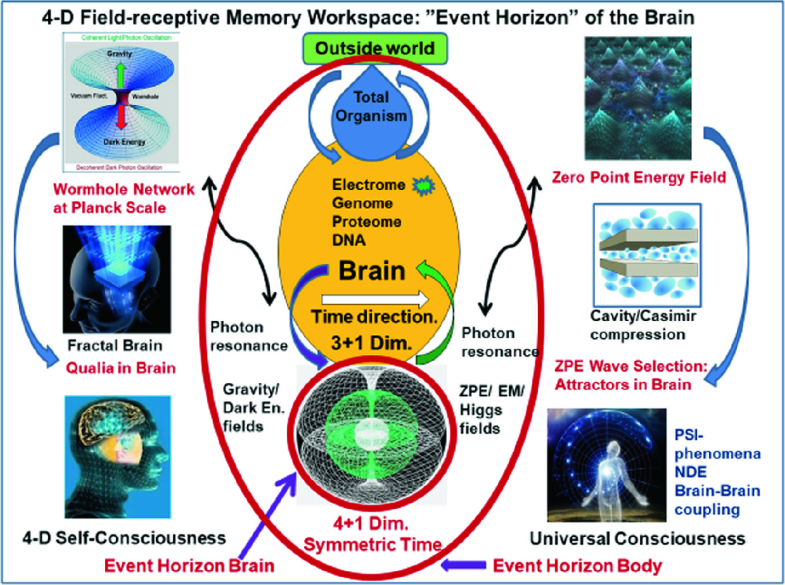 Biophysics Of Consciousness A Scale Invariant Acoustic Information Code Of A Superfluid Quantum Space Guides The Mental Attribute Of The Universe Springerlink