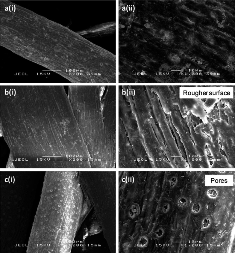 lignocellulosic fiber reinforced pla green composites effects of chemical fiber treatment springerlink
