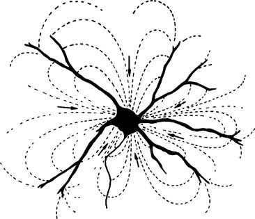 Extracellular Single-Unit Recording Methods | SpringerLink