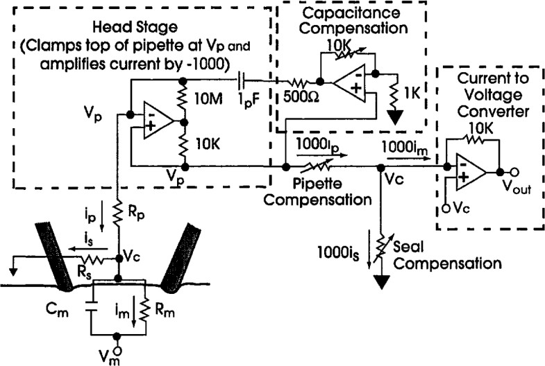 The Loose Patch Voltage Clamp Technique SpringerLink