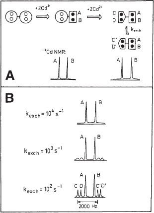 Cadmium 113 And Lead 207 Nmr Spectroscopic Studies Of - 