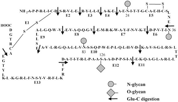 Analyses Of Glycopeptides And Glycoproteins By Liquid Chromatography Mass Spectrometry And Liquid Chromatography Tandem Mass Spectrometry Springerlink