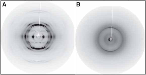 X Ray Diffraction Studies Of Amyloid Structure Springerlink