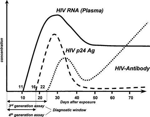 A New Automated Fourth-Generation HIV Screening Assay With Sensitive ...