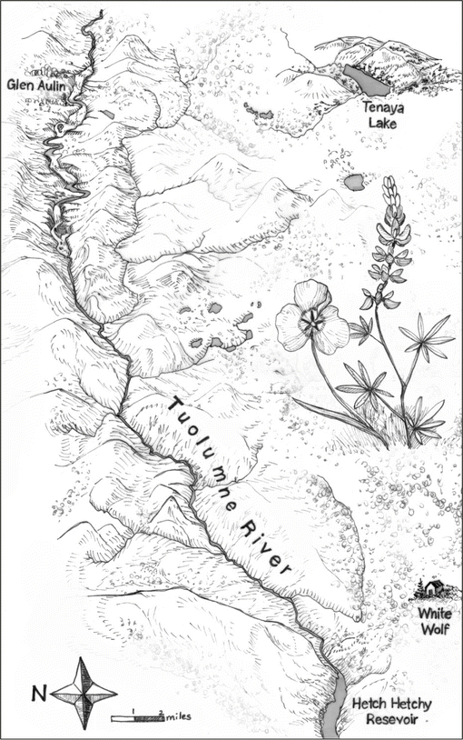 darkstorm viewer map friends darkstorm viewer map friends