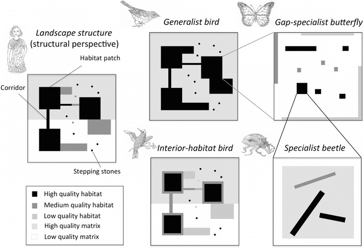 Landscape Ecology And Restoration Processes Springerlink