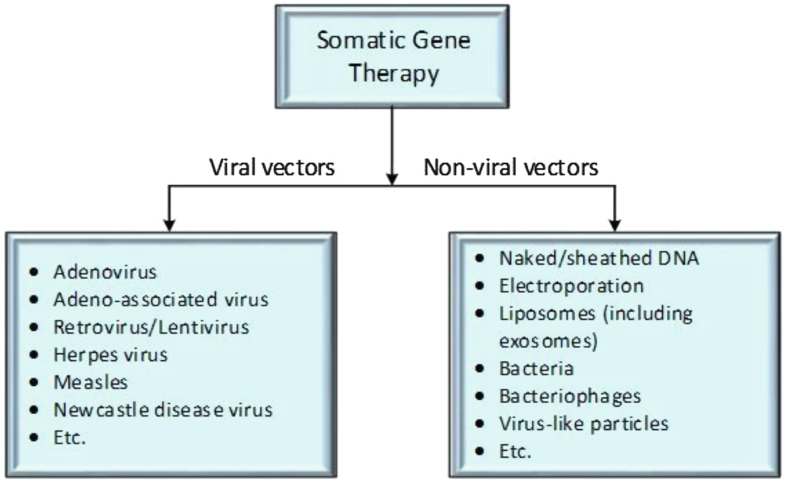 Gene Therapy | SpringerLink