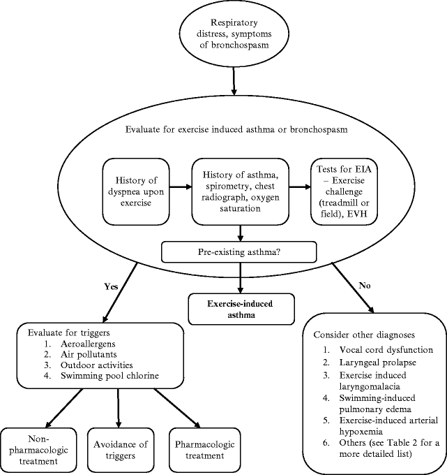 ExerciseInduced Asthma SpringerLink
