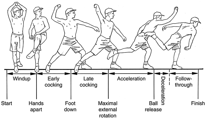 History and Physical Exam on the Thrower’s Elbow | SpringerLink