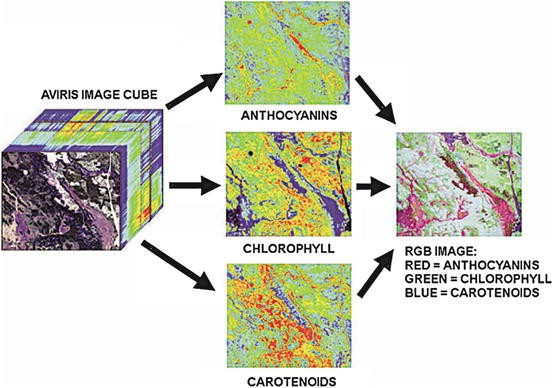 Plant Health Detection and Monitoring | SpringerLink