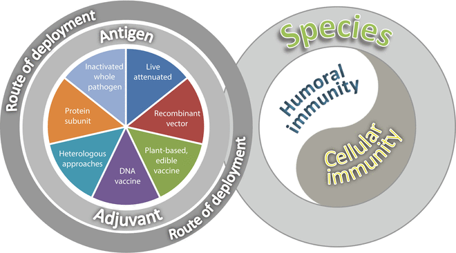 Challenges in Veterinary Vaccine Development and Immunization