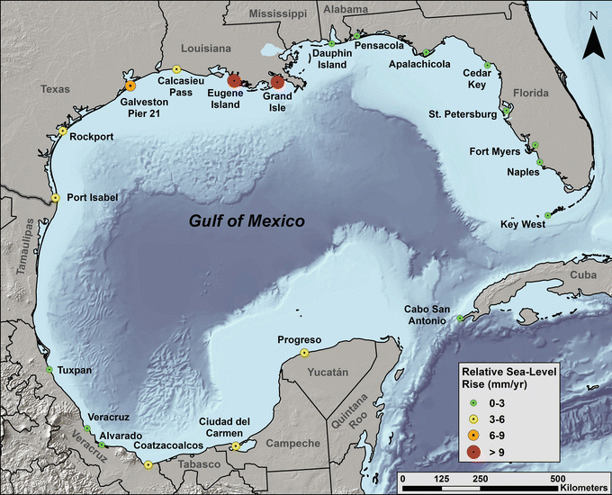 Coastal Habitats of the Gulf of Mexico | SpringerLink