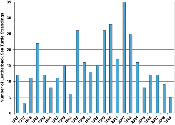 Green Sea Turtle Population Graph 2018