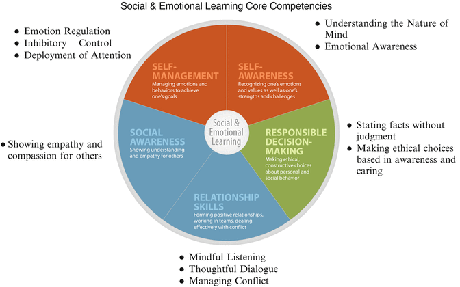 Mindfulness and Social Emotional Learning (SEL): A Conceptual Framework ...