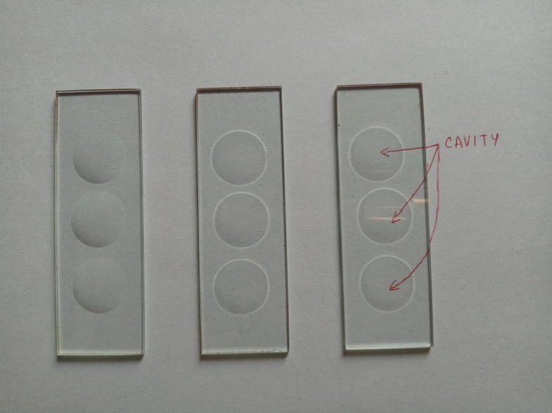 Motility Testing Hanging Drop Method and Stab SpringerLink