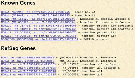 14.1 Human Chromosomes Pdf Answers / 14 2 Human Genome ...
