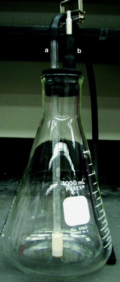 Basic Laboratory Culture Methods for Anaerobic Bacteria SpringerLink