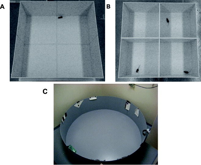 The Open Field Test SpringerLink