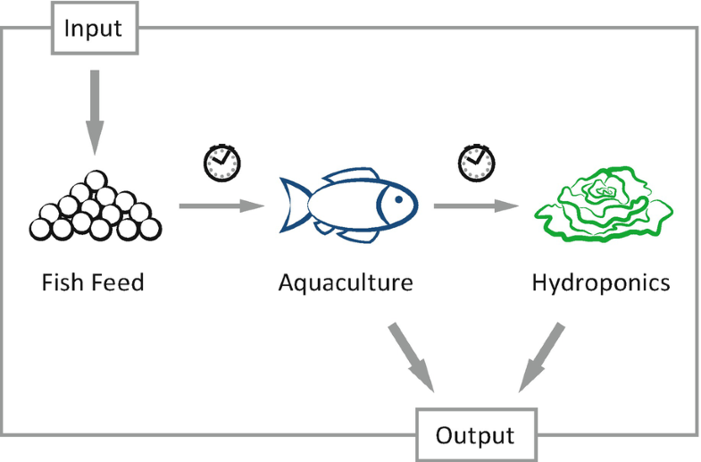 How to reduce ammonia in aquaponics Smart Flower Pot Build Is All About That Base