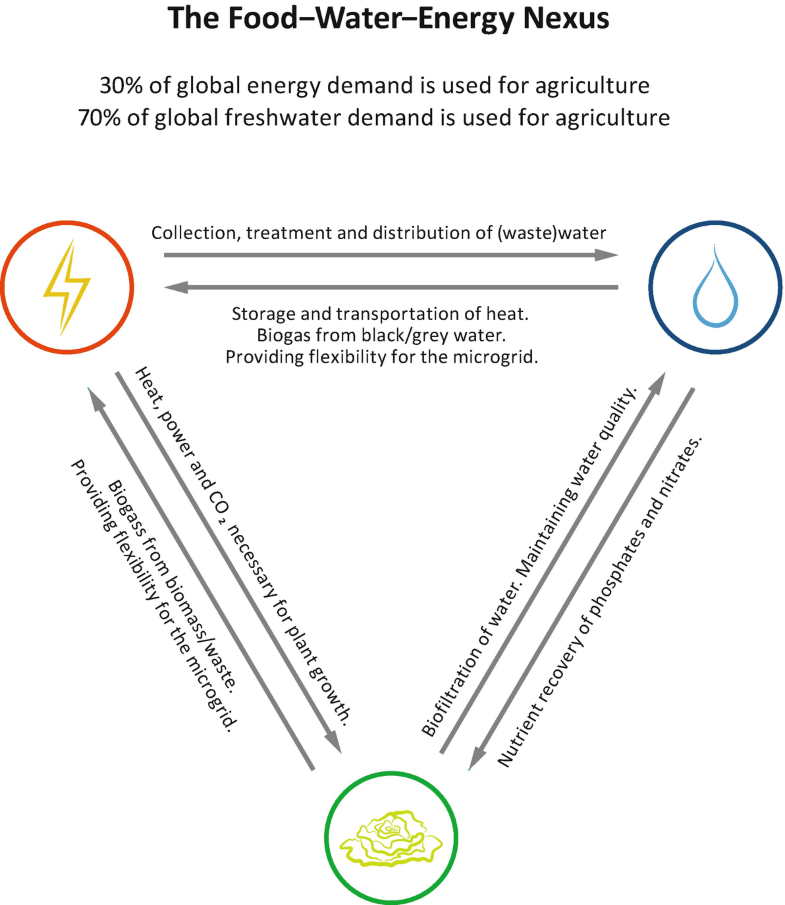 Aquaponics decoupled systems 