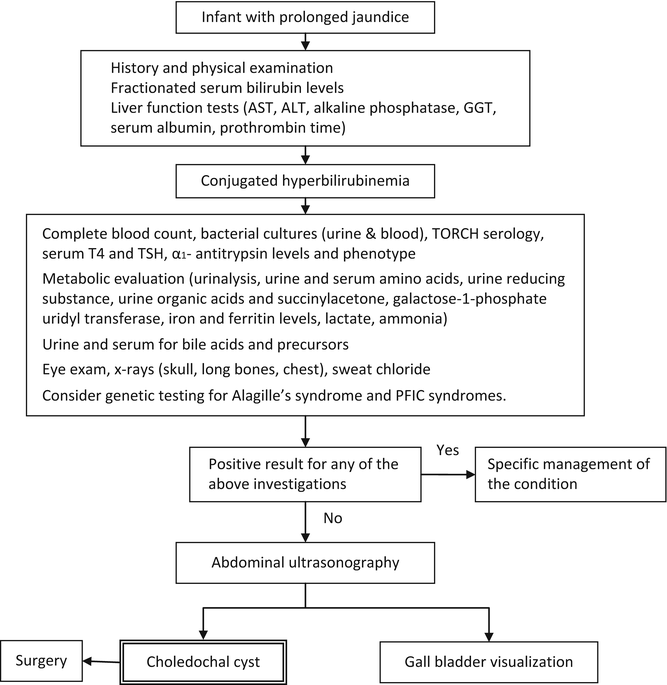 Neonatal CholestasisConjugated Hyperbilirubinemia SpringerLink