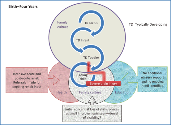 Paediatric Neuropsychological Formulation of a Traumatic Brain Injury ...