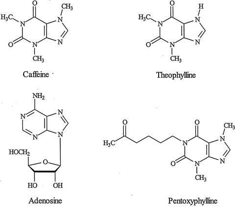 Methylxanthines | SpringerLink