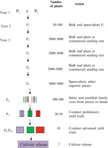 Conventional Plant Breeding Principles and Techniques | SpringerLink