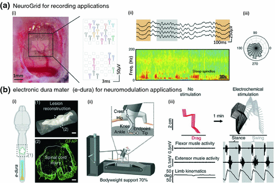 Mechanically Compliant Neural Interfaces | SpringerLink