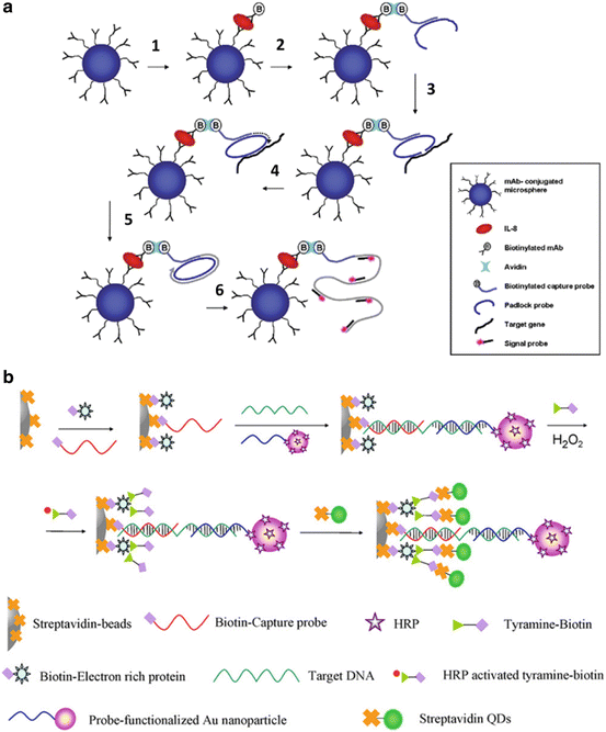 Microfluidics for DNA and Protein Analysis with Multiplex ...