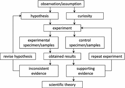 Theory Building in Experimental Design Research | SpringerLink