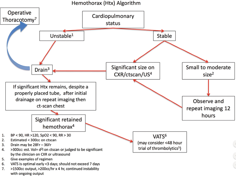 Pneumothorax, Hemothorax, and Empyema SpringerLink