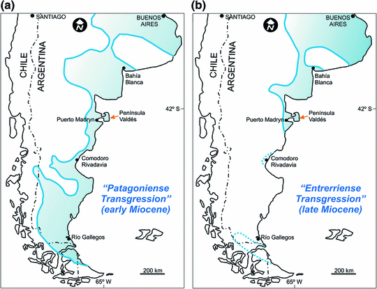 Miocene Marine Transgressions: Paleoenvironments and Paleobiodiversity ...