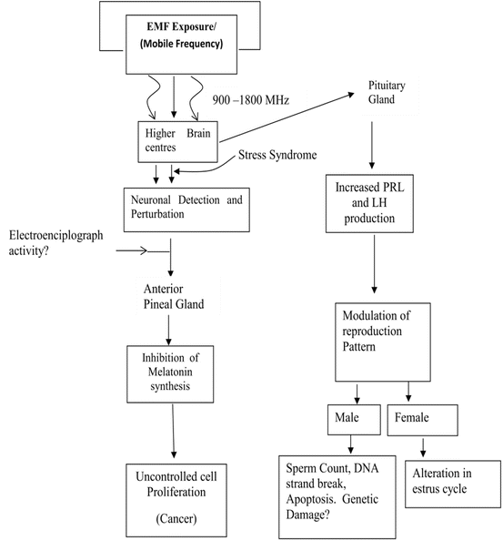 Microwave Effects on DNA SpringerLink