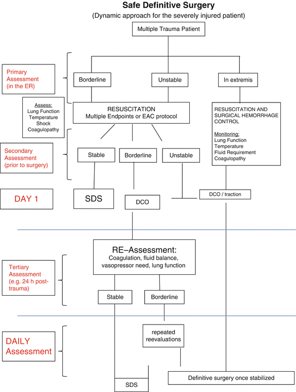 Abbreviated Surgery Orthopaedic Surgery SpringerLink