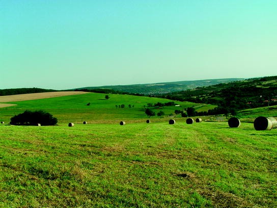 Top 40+ Outdoor-Landschaftsideen Für Kleine Räume / Patio Landschaft