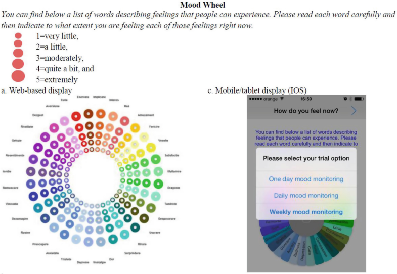 Assessment, Case Formulation and Intervention Models