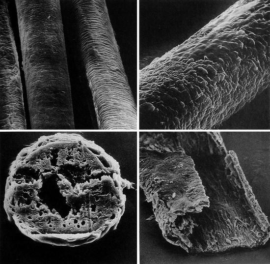 Polymers in Hair Products SpringerLink