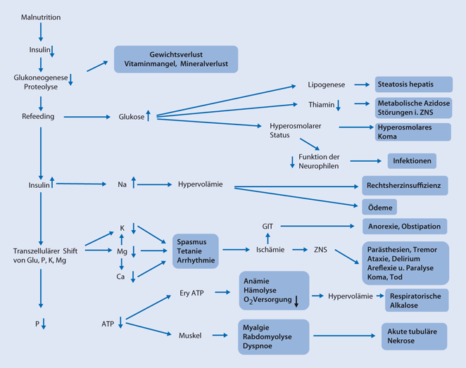 Besonderheiten bei mangelernährtenPatienten RefeedingSyndrom