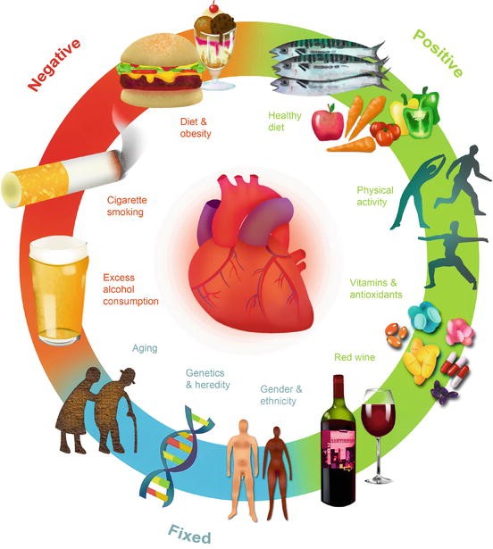 Risk Factors, Oxidative Stress, and Cardiovascular Disease | SpringerLink