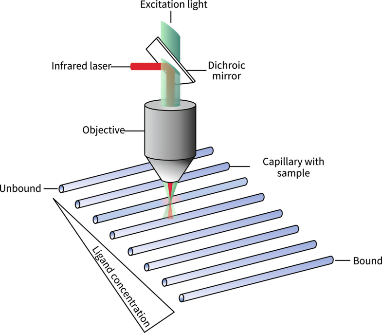 Microscale Thermophoresis (MST) SpringerLink
