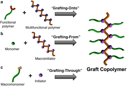 Graft Copolymer Synthesis | SpringerLink