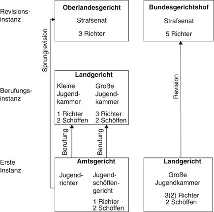 Das Strafverfahren | SpringerLink