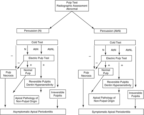 Diagnosis In Molar Endodontics SpringerLink