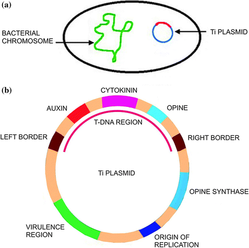 Genetic Engineering | SpringerLink