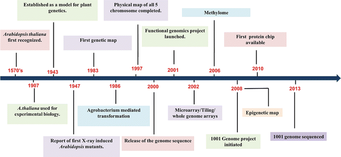 Arabidopsis thaliana: A Model for Plant Research | SpringerLink