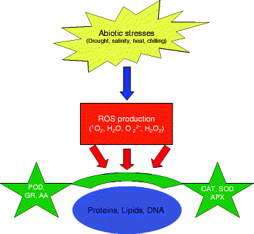 pdf rechnernetze