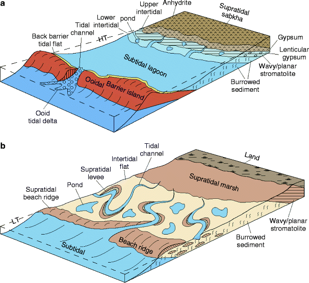 Ancient Carbonate Tidalites | SpringerLink