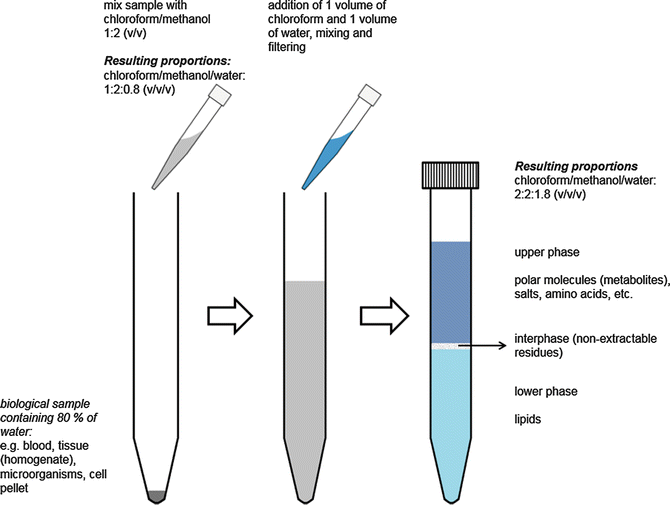 Liquid Extraction Bligh and Dyer SpringerLink